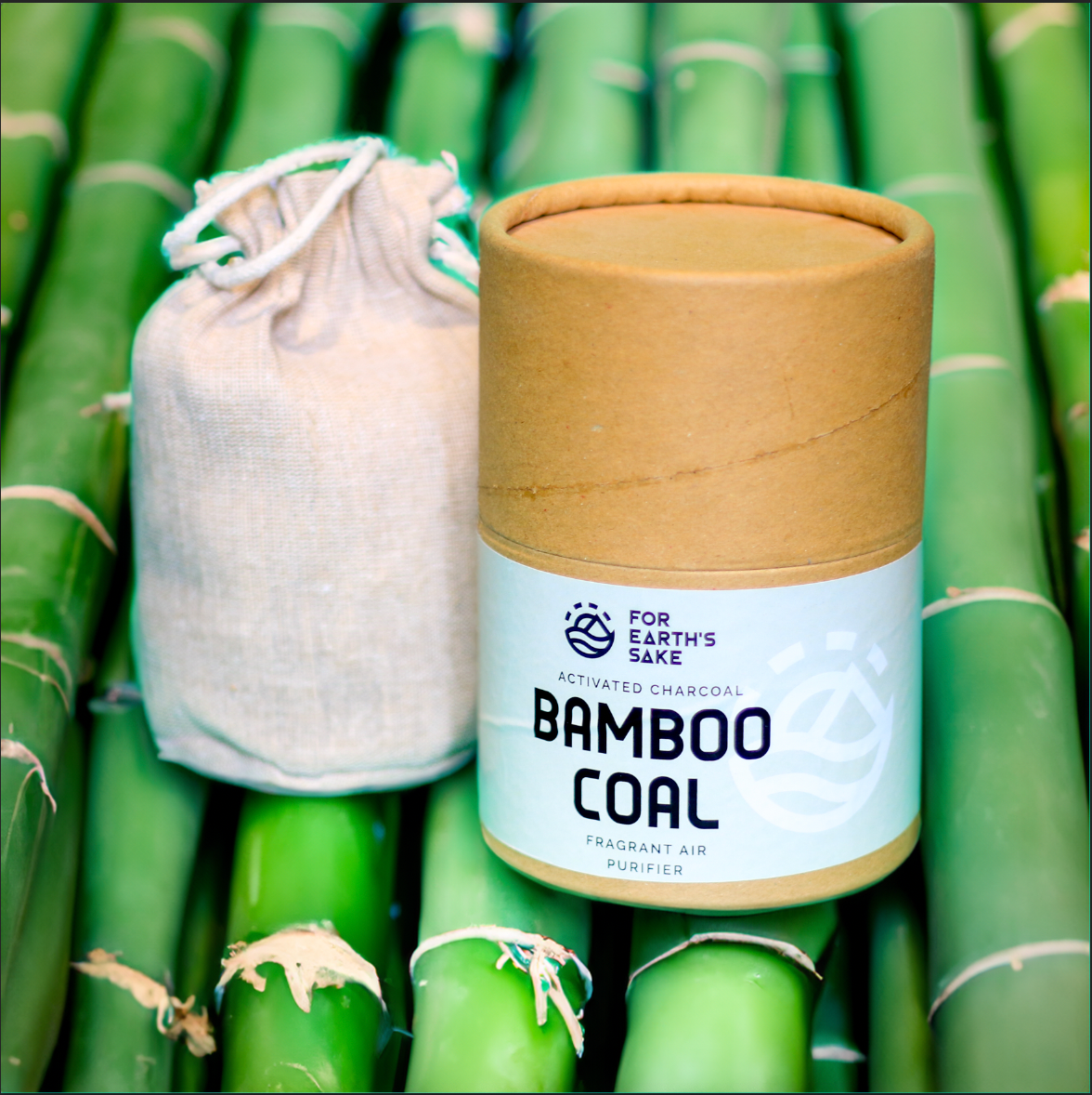 Bamboo Coal Air Purifier